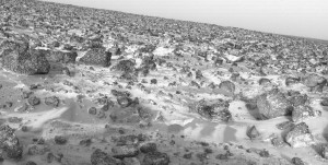 ICE ON MARS AGAIN -- This high-resolution photo of the surface of Mars was taken by Viking Lander 2 at its Utopia Planitia landing site on May 18, 1979 and relayed to Earth by Viking Orbiter 1 on June 7. It shows a thin coating of water ice on the rocks and soil.